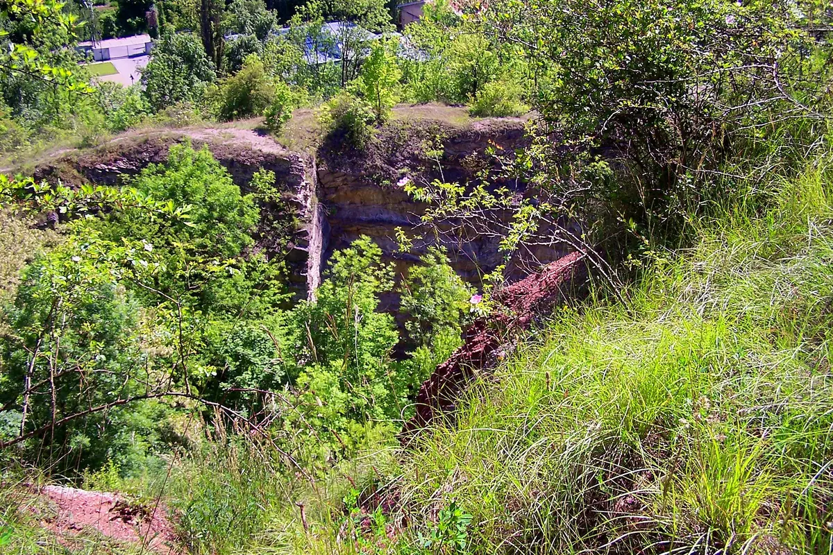 A limestone rock face overgrown with green shrubs and grass in the Prokop Valley in Prague